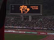 ���́A�̐S�̎ʐ^���B�ꂸ�s�o