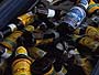 ���@�C�c�F�����w���A���܂����ǔM�тɂ͍���Ȃ�����