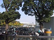 �X���̃X�|�[�c�����炵�����邢���͋C
