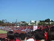 ���ꂶ���ꂾ������[���炢������������